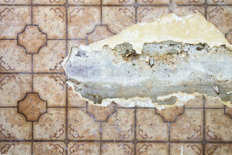 Sheet Vinyl Repair in Louisville, CO